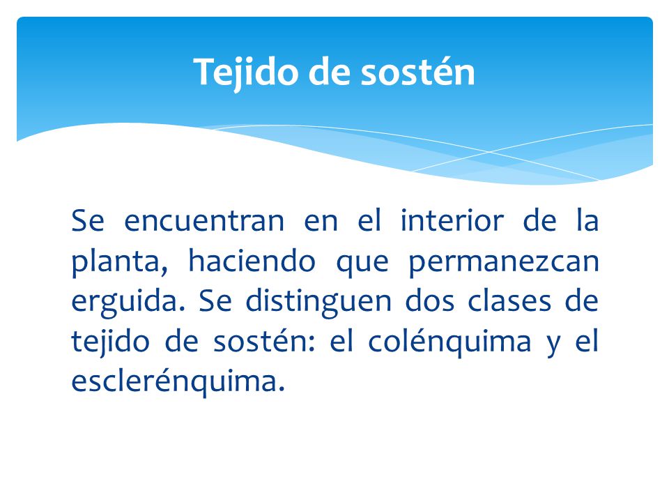 Las anguillas la inflamación de las glándulas sebáceas sobre la persona